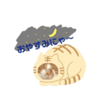 とらだよ（個別スタンプ：6）