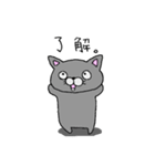ねこのぶりちゃん（個別スタンプ：37）