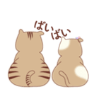 かたスコさん（個別スタンプ：38）