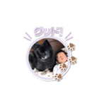 ポポポポスタンプ（個別スタンプ：7）