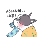 ぶるけん（個別スタンプ：1）