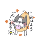 ぶるけん（個別スタンプ：2）