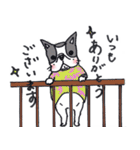 ぶるけん（個別スタンプ：6）