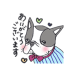 ぶるけん（個別スタンプ：8）