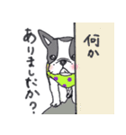 ぶるけん（個別スタンプ：9）