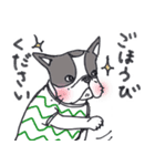 ぶるけん（個別スタンプ：10）