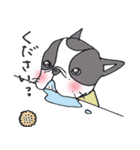 ぶるけん（個別スタンプ：12）