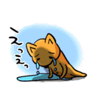 ひといちばい気遣い上手なHSP犬 コロン（個別スタンプ：7）