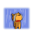 ひといちばい気遣い上手なHSP犬 コロン（個別スタンプ：9）