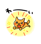 ひといちばい気遣い上手なHSP犬 コロン（個別スタンプ：12）