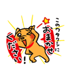 ひといちばい気遣い上手なHSP犬 コロン（個別スタンプ：19）