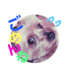 ⭐️大好きハッピー⭐️（個別スタンプ：3）