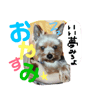 ⭐️大好きハッピー⭐️（個別スタンプ：4）