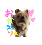 ⭐️大好きハッピー⭐️（個別スタンプ：5）