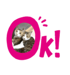 ☆kiki＆rara☆（個別スタンプ：1）