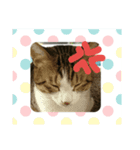 ☆kiki＆rara☆（個別スタンプ：2）