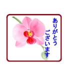 花と警護（個別スタンプ：1）