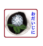 花と警護（個別スタンプ：10）
