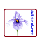 花と警護（個別スタンプ：14）