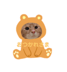 にゃん生活（個別スタンプ：2）