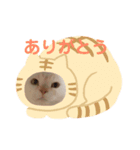 にゃん生活（個別スタンプ：7）