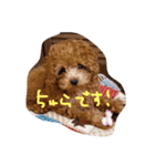 ちゅらりっく兄弟。（個別スタンプ：7）