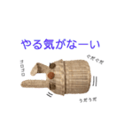 おばあちゃんの籠うさぎ  4（個別スタンプ：37）