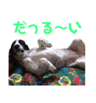 びすこだよ全員集合！（個別スタンプ：4）