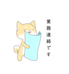 柴犬の仕事仲間にも使えるスタンプ（個別スタンプ：6）