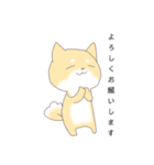 柴犬の仕事仲間にも使えるスタンプ（個別スタンプ：8）