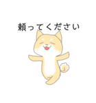 柴犬の仕事仲間にも使えるスタンプ（個別スタンプ：10）