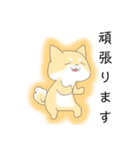 柴犬の仕事仲間にも使えるスタンプ（個別スタンプ：12）