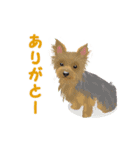 ●●わんこたちの日常スタンプ●●（個別スタンプ：5）