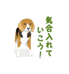 ●●わんこたちの日常スタンプ●●（個別スタンプ：7）