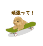 ●●わんこたちの日常スタンプ●●（個別スタンプ：8）