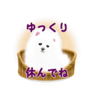 ●●わんこたちの日常スタンプ●●（個別スタンプ：14）