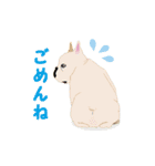 ●●わんこたちの日常スタンプ●●（個別スタンプ：16）