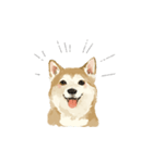 ぽんちゃん かわいい犬のスタンプ（個別スタンプ：1）