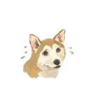 ぽんちゃん かわいい犬のスタンプ（個別スタンプ：3）