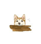ぽんちゃん かわいい犬のスタンプ（個別スタンプ：5）