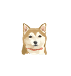 ぽんちゃん かわいい犬のスタンプ（個別スタンプ：9）