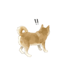 ぽんちゃん かわいい犬のスタンプ（個別スタンプ：13）