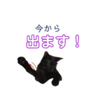 愛ネコ9（個別スタンプ：4）