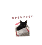 愛ネコ9（個別スタンプ：7）