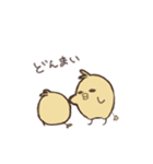 コレ！ヒヨコ隊（個別スタンプ：28）