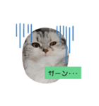 gigi's happy days（個別スタンプ：3）