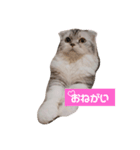 gigi's happy days（個別スタンプ：6）