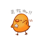 星のひよこ。（個別スタンプ：24）