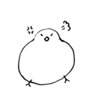 いずみのとり（個別スタンプ：17）