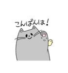 ヒヨコの弟子ねこ（個別スタンプ：3）